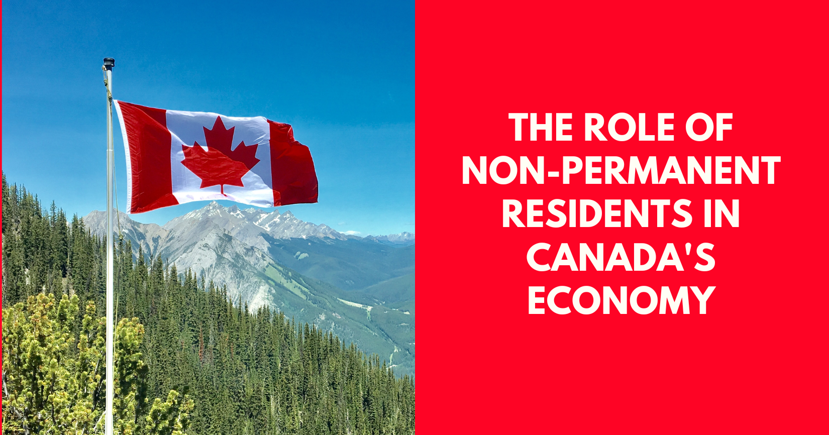 The Role Of Non Permanent Residents In Canada S Economy Cashflow   The Role Of Non Permanent Residents In Canadas Economy 